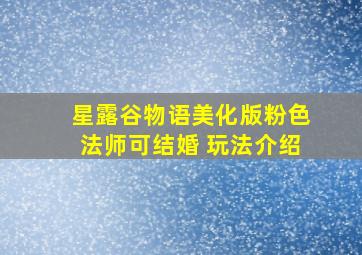 星露谷物语美化版粉色法师可结婚 玩法介绍